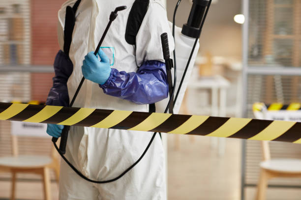 Professional Hoarding Cleanup technician working in Tomball, TX